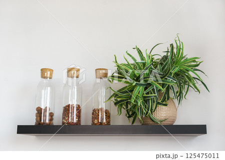 Nuts and seeds in glass jars and green plant in pot on white background on black wooden shelf Nuts and seeds in glass jars and green plant in pot on white background on black wooden shelf 125475011