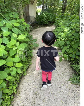 葉っぱの小道 葉っぱの小道 125475223