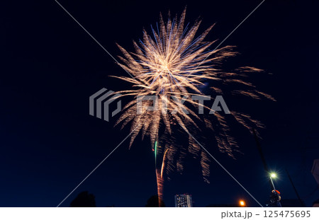 越谷花火大会　埼玉県 125475695