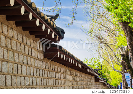 ソウル　新緑の孝子路と景福宮の石塀 125475859