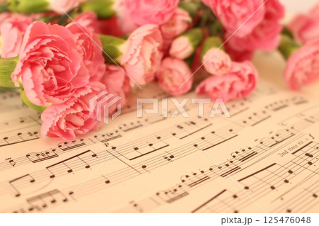 カーネーションの花束 125476048