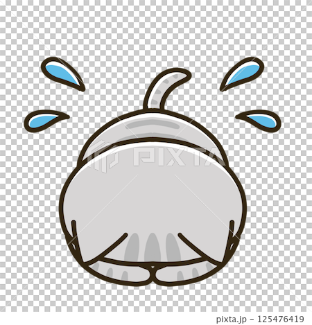 Gray tabby cat kneeling 125476419