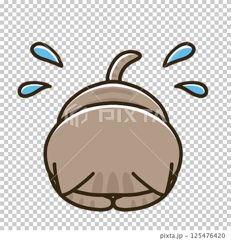 土下座するキジトラ猫 土下座するキジトラ猫 125476420