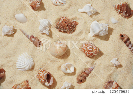 Summer nautical pattern with brown and white shells on light colored sand. Summer nautical pattern with brown and white shells on light colored sand. 125476625