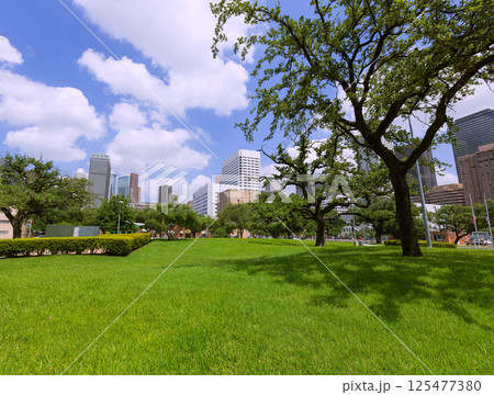 Houston skyline cityscape in Texas US Houston skyline cityscape in Texas US 125477380