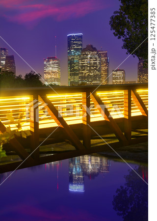 Houston sunset skyline from Texas US 125477385