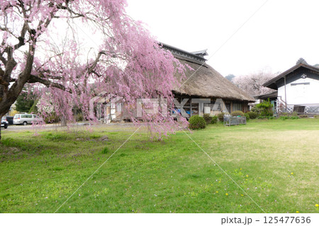 岩手県滝沢市の史跡籠屋敷の藤倉邸の広大な南部曲がり家 125477636