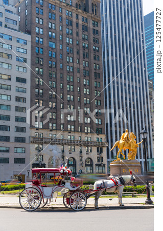 Central Park horse carriage rides in New York 125477727
