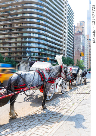 Central Park horse carriage rides in New York 125477728