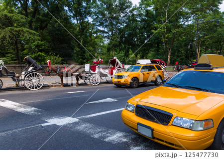 Central Park horse carriage rides in New York 125477730