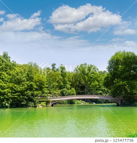 Central Park The Lake Bow Bridge New York 125477736