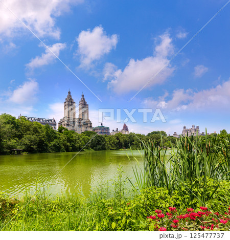 Central Park The Lake Manhattan New York 125477737