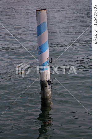 Pole in Venice canal 125477905