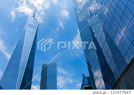 New York skyline and Freedom Tower Manhattan New York skyline and Freedom Tower Manhattan 125477947