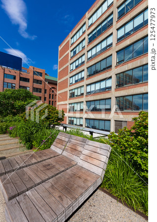 High Line Park Manhattan New York US 125477973