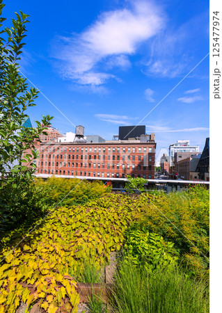 High Line Park Manhattan New York US High Line Park Manhattan New York US 125477974