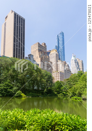 Central Park The Pond Manhattan New York Central Park The Pond Manhattan New York 125478021