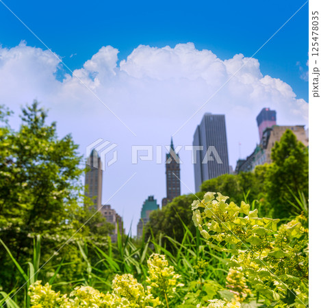 Central Park flowers Manhattan New York 125478035