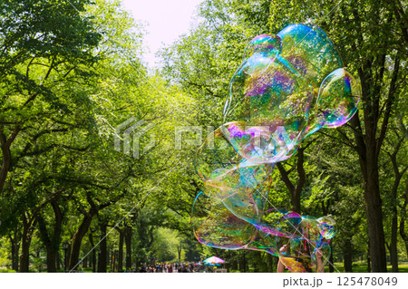 Central Park The Mall Manhattan New York 125478049