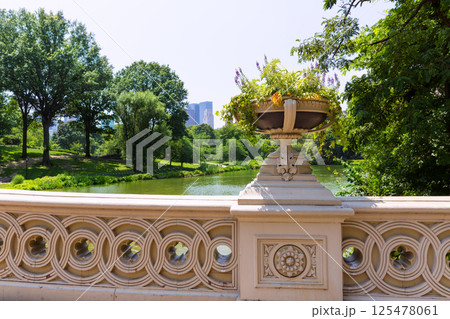 Central Park The Lake Bow Bridge New York 125478061