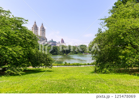 Central Park The Lake Manhattan New York Central Park The Lake Manhattan New York 125478069