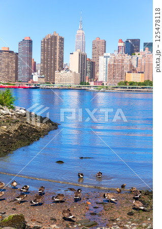 Manhattan New York skyline East River with ducks 125478118