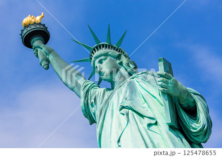Statue of Liberty New York American Symbol USA 125478655
