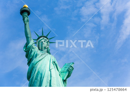 Statue of Liberty New York American Symbol USA 125478664