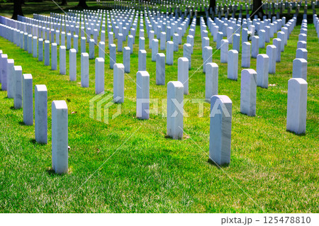 Arlington National Cemetery VA near Washington DC 125478810