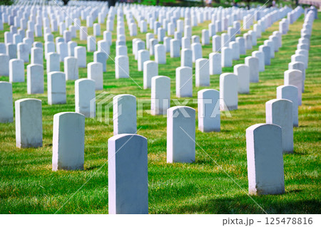 Arlington National Cemetery VA near Washington DC 125478816