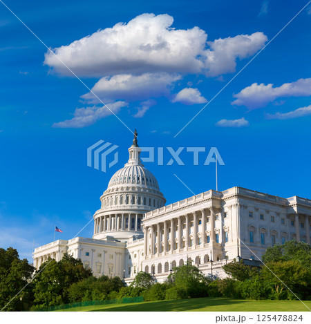 Capitol building Washington DC sunlight day US Capitol building Washington DC sunlight day US 125478824
