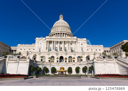 Capitol building Washington DC sunlight day US Capitol building Washington DC sunlight day US 125478869
