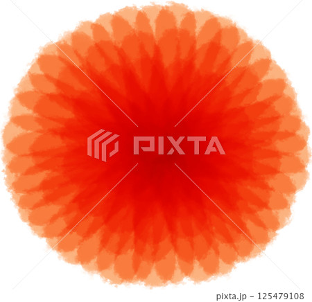 Beautiful blossom red mixed orange petals of flowers 125479108
