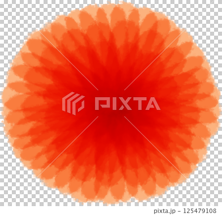 Beautiful blossom red mixed orange petals of flowers 125479108