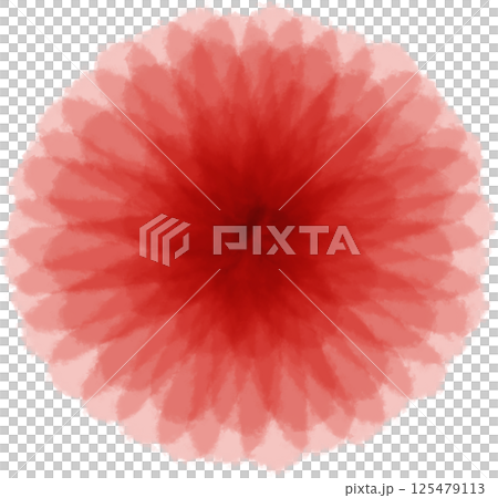 Beautiful blossom pink petals of flowers 125479113