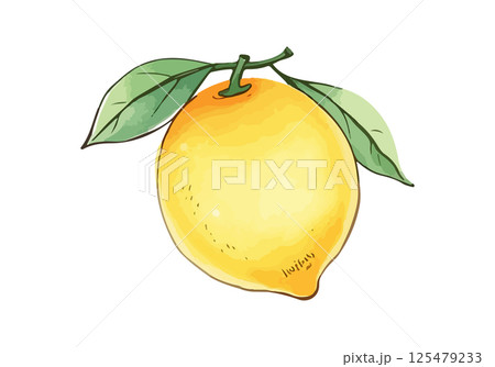 Lemon watercolor vector illustration. Lemon watercolor vector illustration. 125479233