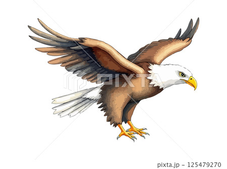 Eagle watercolor vector illustration. 125479270