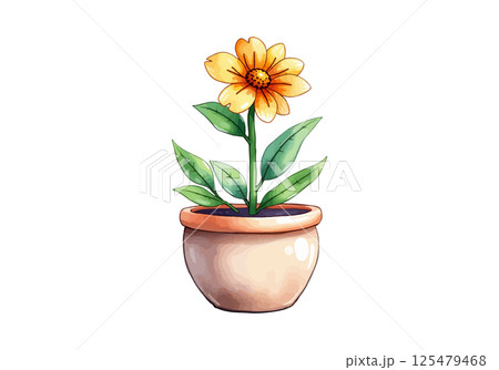 Flower in a pot watercolor vector illustration. 125479468