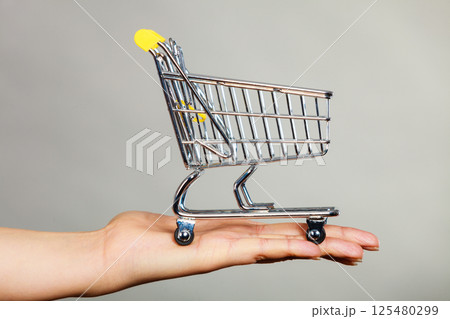 Woman hand holding small tiny shopping cart 125480299