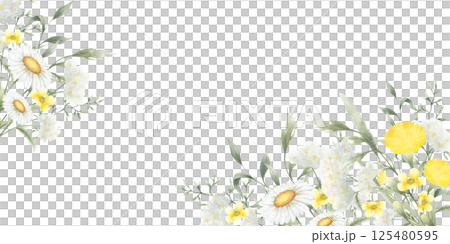 Wildflowers chamomile, dandelion, buttercup, yarrow and meadow grasses. Hand drawn isolated watercolor rectangular horizontal frame illustration of yellow and white flowers with copy space for text 125480595