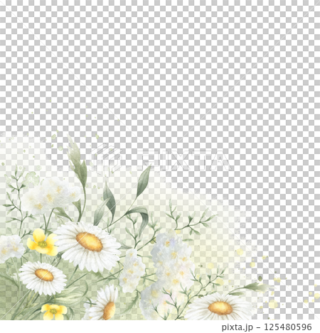 Wildflowers yellow buttercup, white yarrow, chamomile and meadow grasses. Hand drawn isolated watercolor square frame on green stain and splash with copy space for invitations, postcards and cards 125480596
