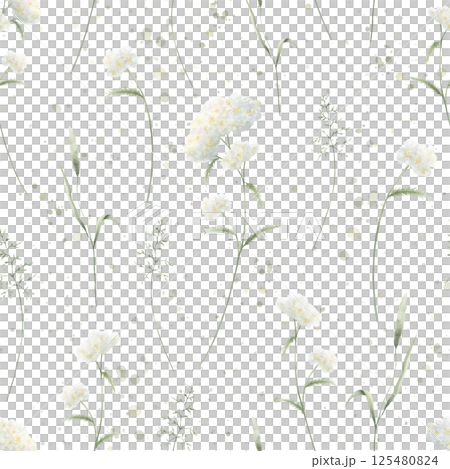 Seamless floral pattern of watercolor wildflowers yarrow and field grasses isolated from background. Hand drawn sketch meadow white flowers and wild greenery for fabric print, textile and cards Seamless floral pattern of watercolor wildflowers yarrow and field grasses isolated from background. Hand drawn sketch meadow white flowers and wild greenery for fabric print, textile and cards 125480824