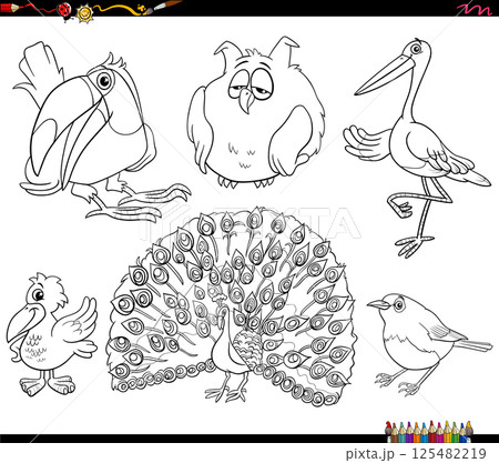 cartoon birds species animal characters collection coloring page cartoon birds species animal characters collection coloring page 125482219