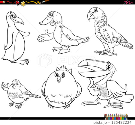 funny cartoon birds species animal characters collection coloring page funny cartoon birds species animal characters collection coloring page 125482224