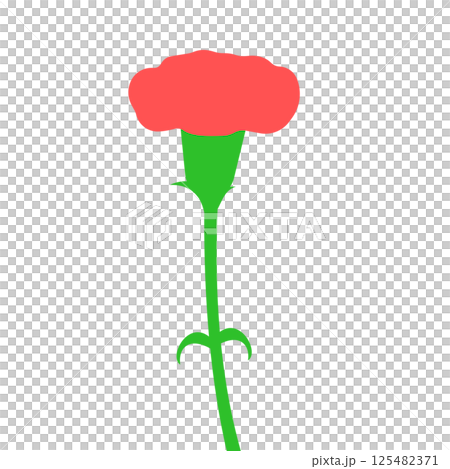 Carnation illustrations Carnation illustrations 125482371