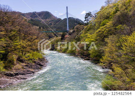 春の水上温泉　諏訪峡遊歩道から見る利根川と谷川岳 125482564