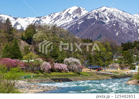 春の水上温泉　諏訪峡遊歩道から見る利根川と谷川岳 125482651