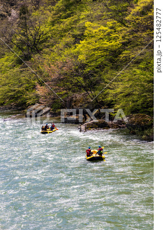 水上温泉の諏訪峡でラフティングを楽しむ人々 125482777
