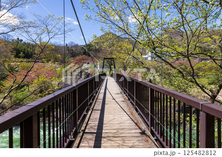 春の水上温泉　諏訪峡遊歩道の笹笛橋 125482812