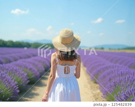 ラベンダー畑と北の国 125482839